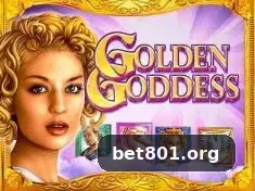 bet801 destaque